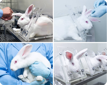 The Dark Side of Beauty: Unveiling Animal Testing in Cosmetics